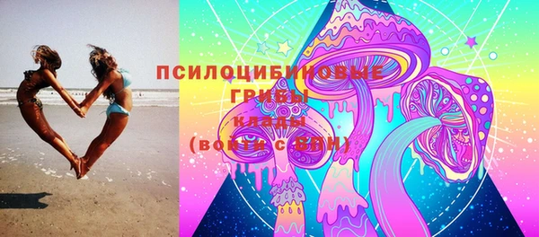 тгк Беломорск