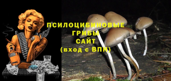 хмурый Белокуриха