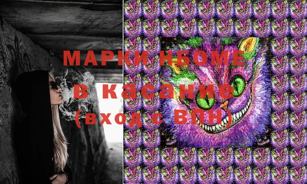 хмурый Белокуриха