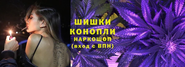 хмурый Белокуриха
