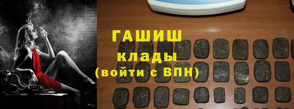 хмурый Белокуриха